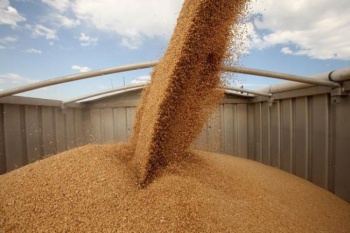экспорт зерновых